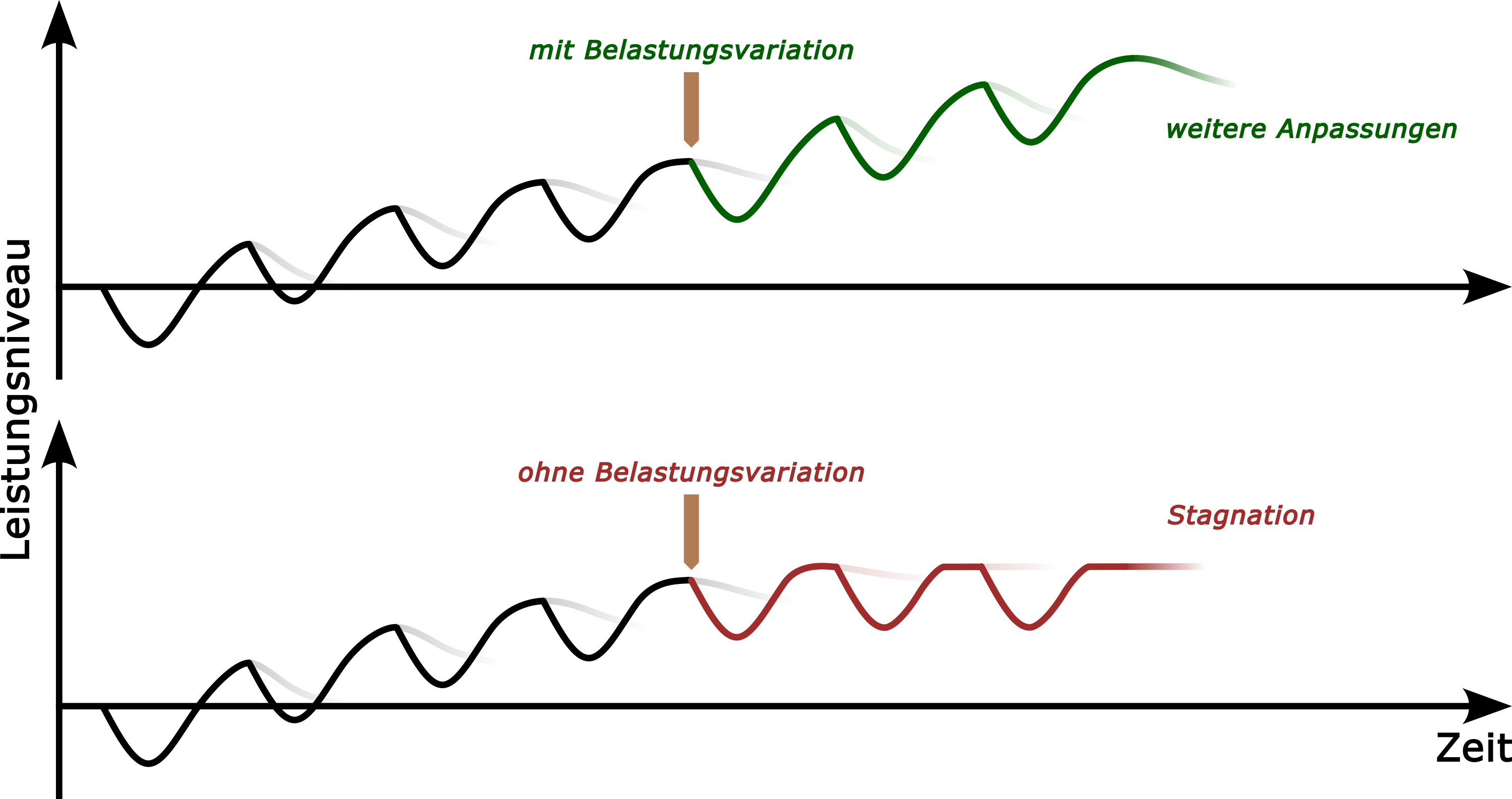 entwicklung-des-leistungsniveaus-ueber-die-zeit-mit-und-ohne-belastungsvariation