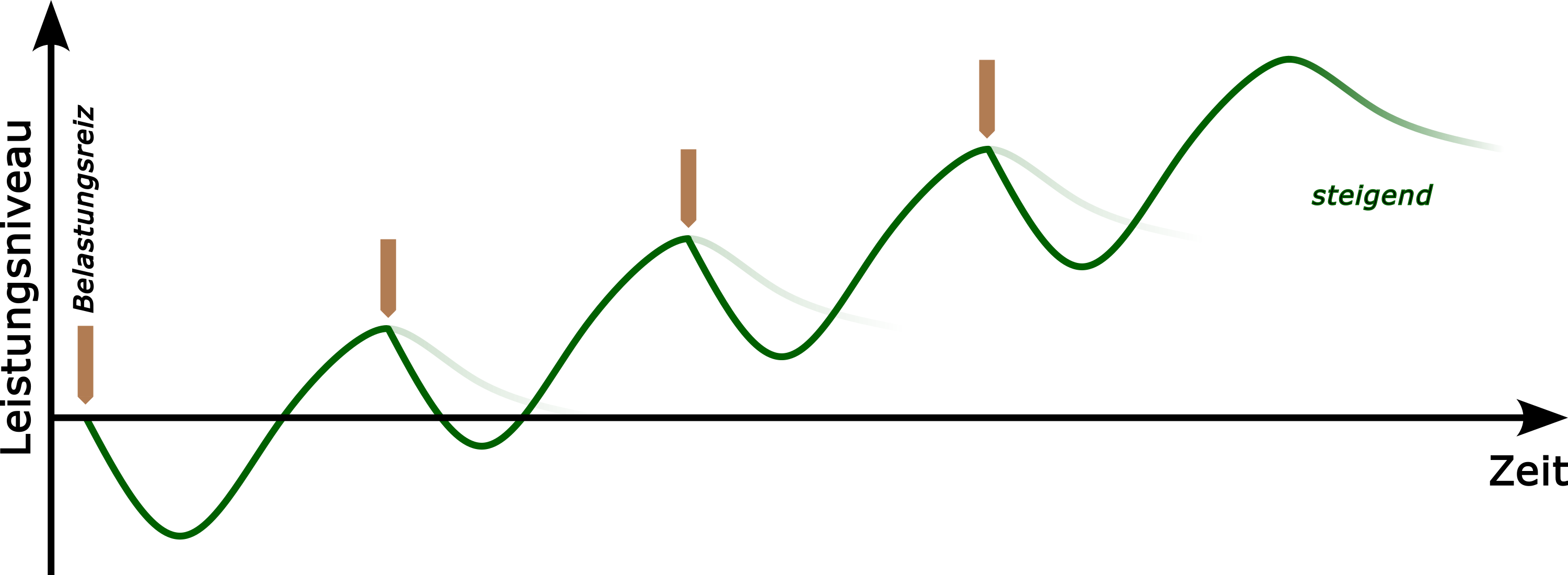 entwicklung-des-leistungsniveaus-bei-optimaler-abstimmung-zwischen-belastung-und-erholung