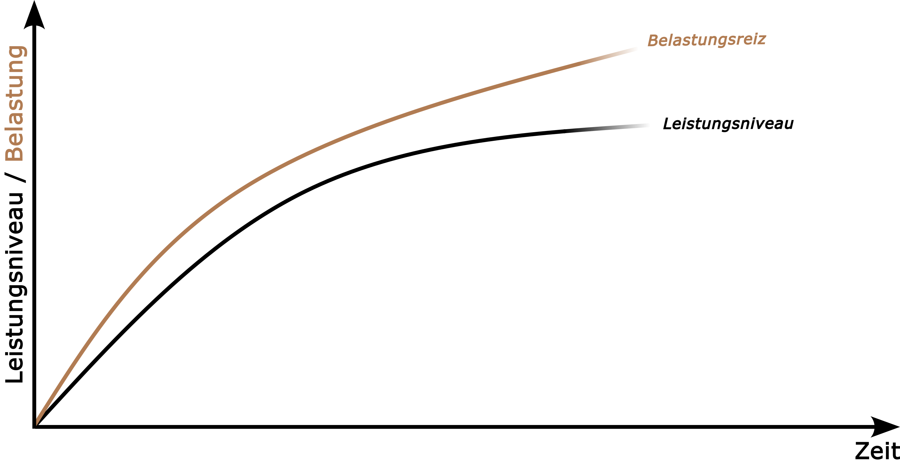 zusammenspiel-zwischen-belastungsniveau-und-leistungsniveau-ueber-die-zeit